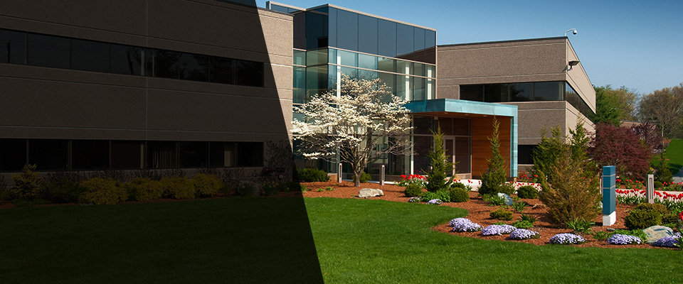 Denver City Landscapers