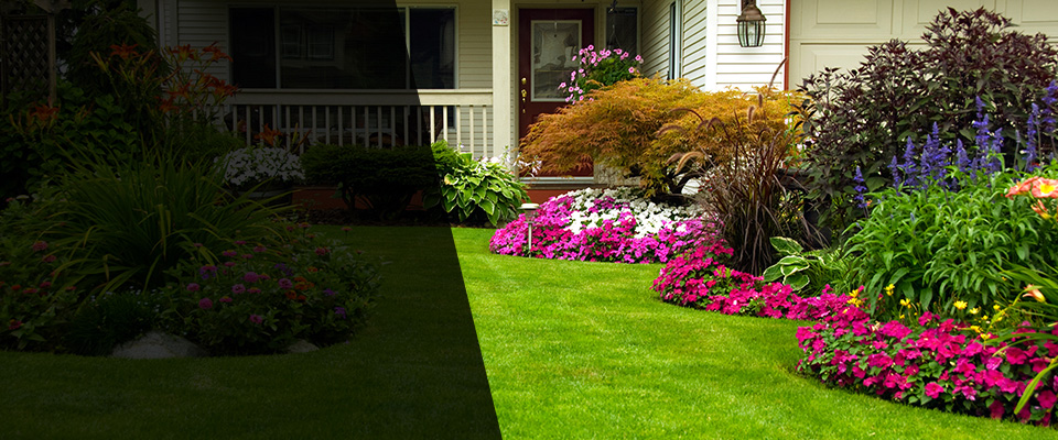 Denver City Landscapers