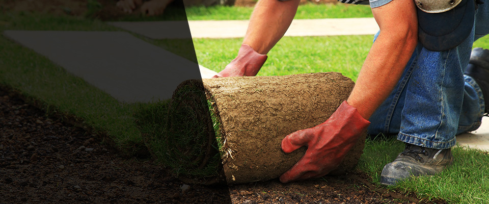 Denver City Landscapers